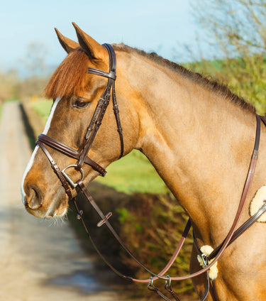 Mackey Classic Padded Flash Bridle| Online For Equine