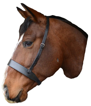 Buy Mackey Classic Wide Flat Cavesson Noseband | Online for Equine