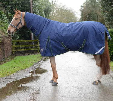 Buy Mackey Keadeen Plus 100g Lightweight Turnout Rug | Online for Equine