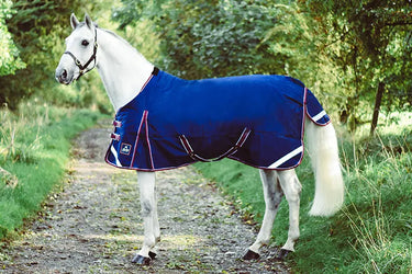 Buy Mackey Keadeen Standard 250g Mediumweight Turnout Rug | Online for Equine