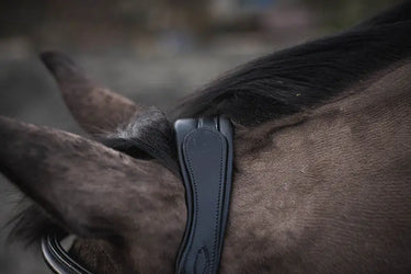 Buy Mackey Legend Apollo Headpiece | Online for Equine