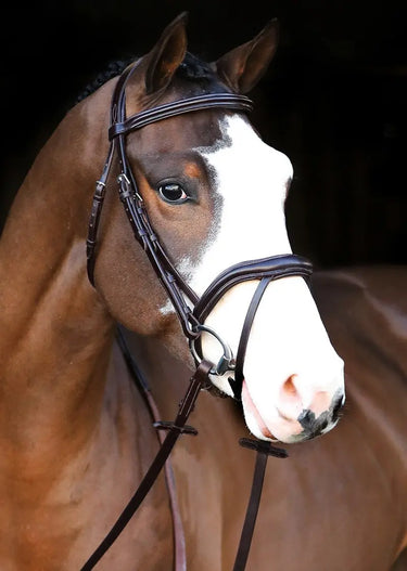 Buy Mackey Legend Athena Bridle | Online for Equine