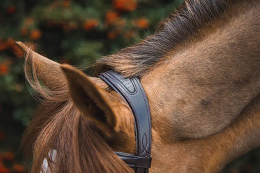 Buy Mackey Legend Athena Headpiece | Online for Equine