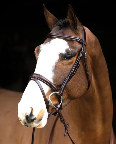 Buy Mackey Legend Flash Bridle | Online for Equine