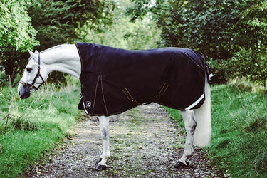 Buy Mackey Lugnaquilla High Neck 360g Turnout Rug | Online for Equine