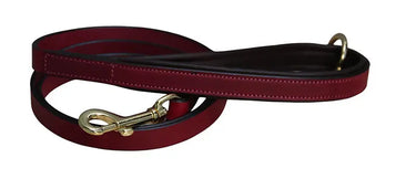 Buy Mackey Padded Dog Lead | Online for Equine