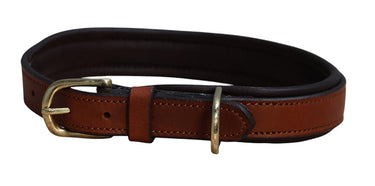 Buy Mackey Padded Leather Dog Collar | Online for Equine