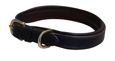 Buy Mackey Padded Leather Dog Collar | Online for Equine