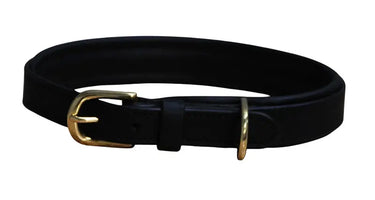 Buy Mackey Padded Leather Dog Collar | Online for Equine