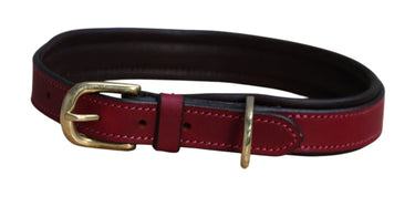 Mackey Padded Leather Dog Collar| Online For Equine
