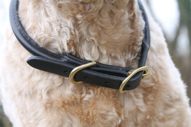 Mackey Rolled Leather Dog Collar| Online For Equine