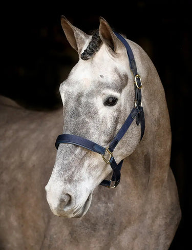 Buy Mackey Saftey Headcollar | Online for Equine