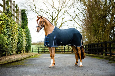 Buy Mackey Shannon Air Cooler | Online for Equine
