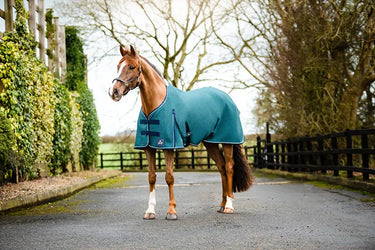 Buy Mackey Shannon Air Cooler | Online for Equine