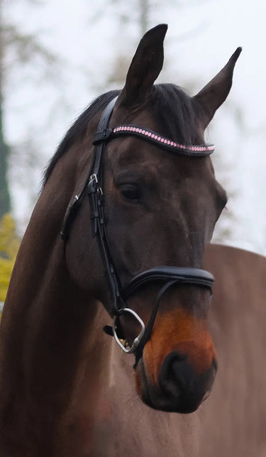 Buy Mackey Sparkle Browband -Baby Pink | Online for Equine