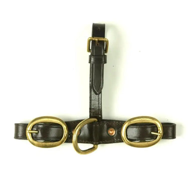 Buy Mackey Stallion Attachment | Online for Equine