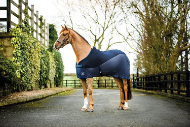 Buy Mackey Tara Hybrid Cooler | Online for Equine