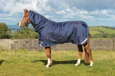 Buy Mackey Wicklow Mediumweight Turnout Rug | Online for Equine