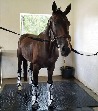 Buy Majyk Equipe Cool Compression Gel Ice Boots | Online for Equine
