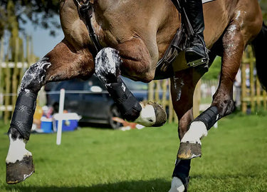 Buy Majyk Equipe XC Elite Boots | Online for Equine