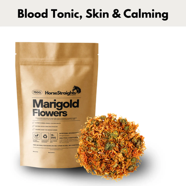 Marigold Flowers| Online For Equine