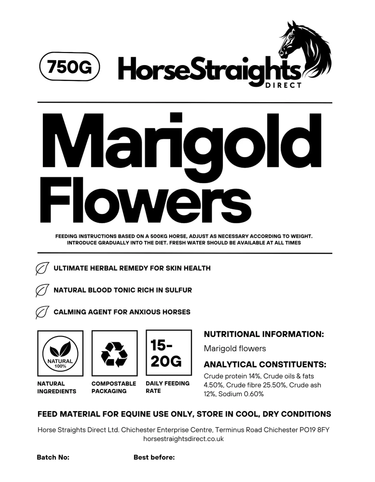 Marigold Flowers| Online For Equine