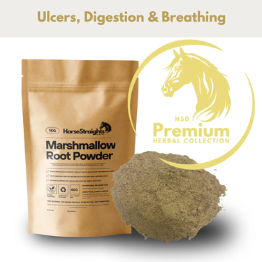 Marshmallow Root Powder| Online For Equine