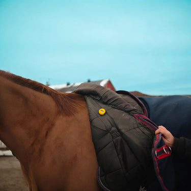 Meolinq MeoTemp Horse Rug Temperature Sensor| Online For Equine