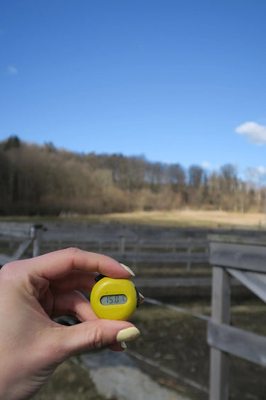 Meolinq MeoTemp Horse Rug Temperature Sensor| Online For Equine