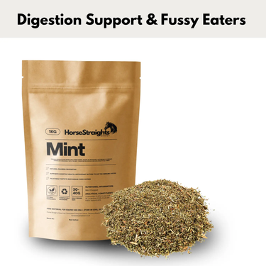 Mint| Online For Equine