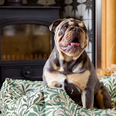 Morris & Co Willow Boughs Print Square Bed| Online For Equine