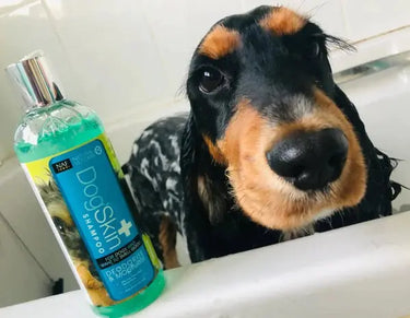 NAF NVC Dog'Skin Shampoo| Online For Equine