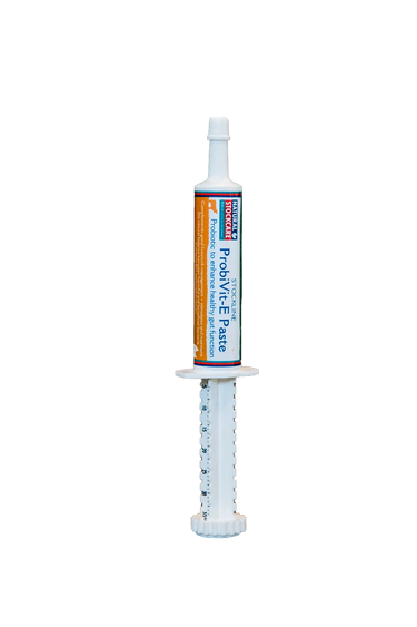 Natural Stockcare Ns Probivit-E Paste| Online For Equine