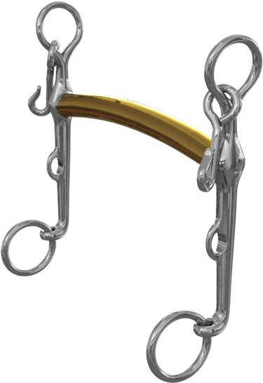 Buy Neue Schule Thoroughbred Weymouth - 8010FF| Online for Equine