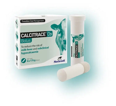 Norbrook Calcitrace D3| Online For Equine