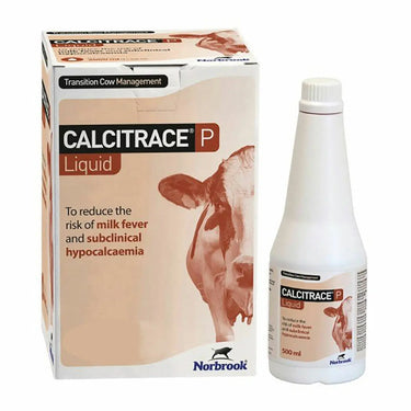 Norbrook Calcitrace P| Online For Equine