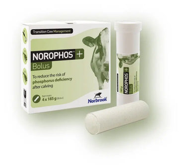 Norbrook Norophos Plus| Online For Equine