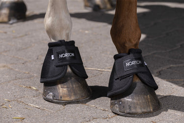 Norton 2520D Overreach Boots| Online For Equine