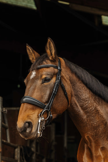 Norton - Basal - Bridle| Online For Equine