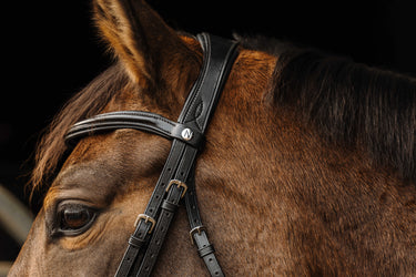 Norton - Basal - Bridle| Online For Equine