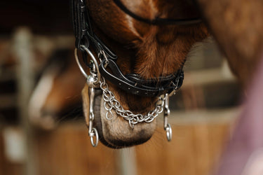 Norton - Basal - Bridle| Online For Equine