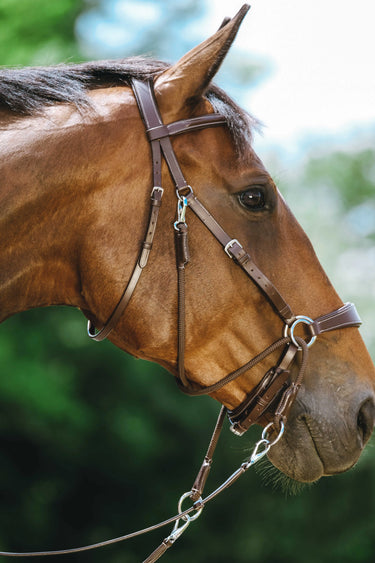 Norton Bridle Bitless| Online For Equine