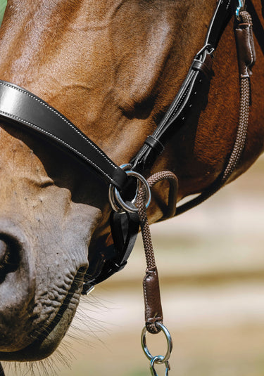 Norton Bridle Bitless| Online For Equine