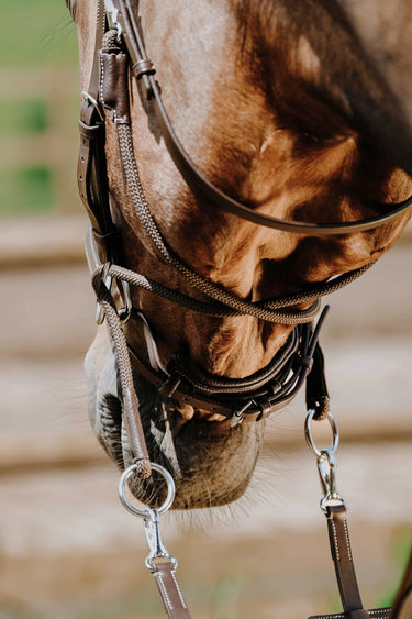 Norton Bridle Bitless| Online For Equine