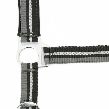 Norton Brilliant Headcollar & Lead Rope