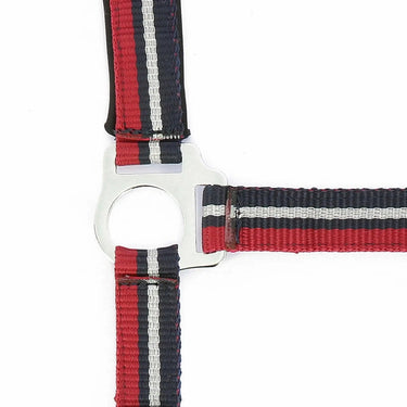 Norton Brilliant Headcollar & Lead Rope
