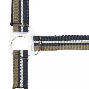 Norton Brilliant Headcollar & Lead Rope