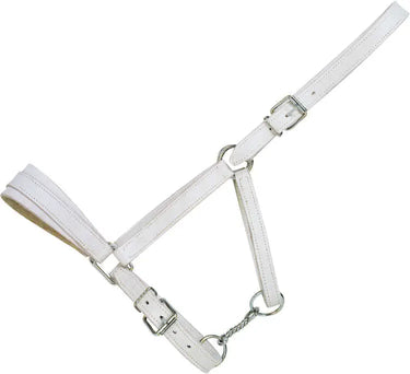 Norton Club Chrome Leather Headcollar| Online For Equine