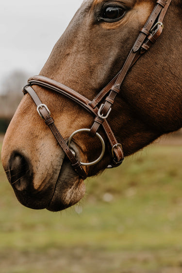 Norton Club - Deco - Bridle| Online For Equine