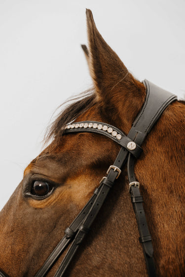 Norton Club - Diva - Bridle| Online For Equine